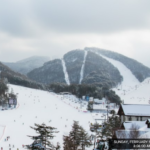 용평리조트(모나용평) 날씨 이미지